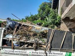 Best Attic Cleanout  in Roodhouse, IL