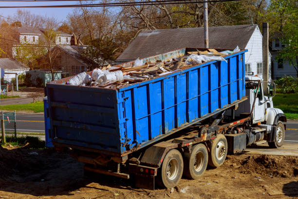 Best Recycling Services for Junk  in Roodhouse, IL